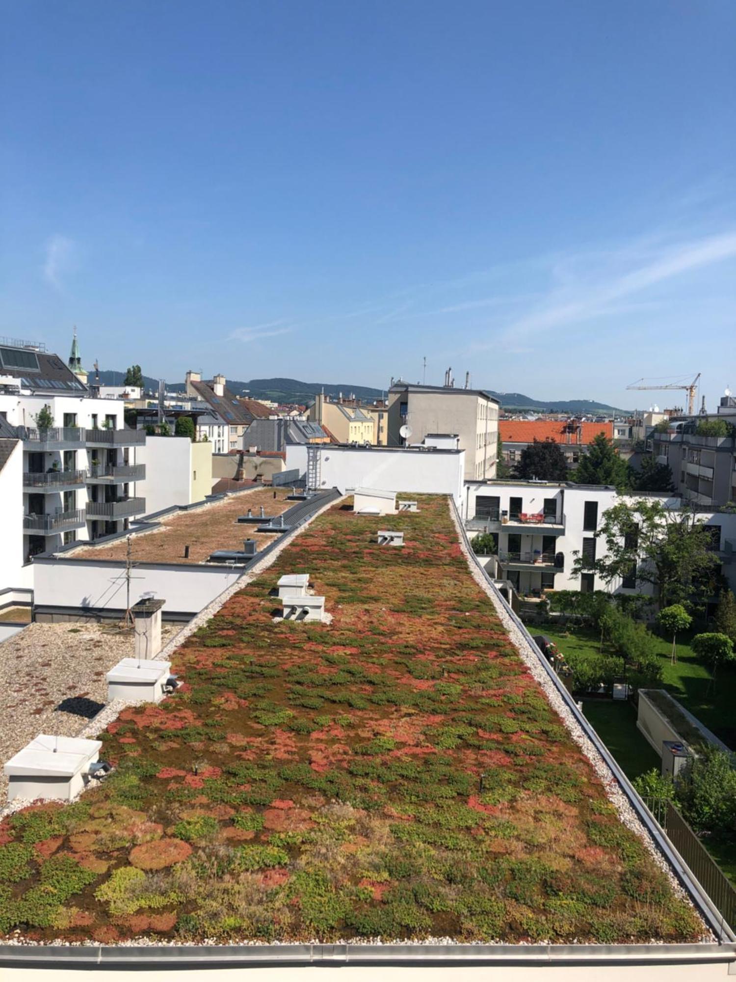Vienna Sunny Side Up Apartments מראה חיצוני תמונה
